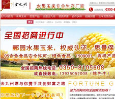 營銷型網(wǎng)站建設(shè)