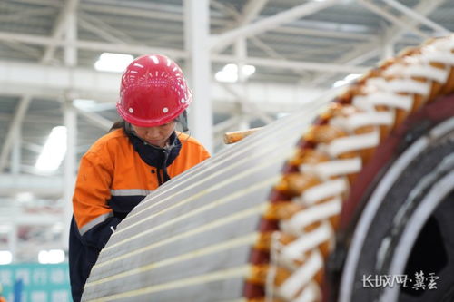 項目一線看發展 邯鄲 機械 發動機 激活裝備制造新活力