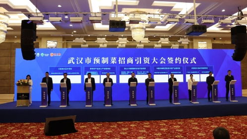 風(fēng)脈能源30億元投資江夏山坡街道 打造萬(wàn)畝低碳高效水產(chǎn)養(yǎng)殖綜合開(kāi)發(fā)項(xiàng)目